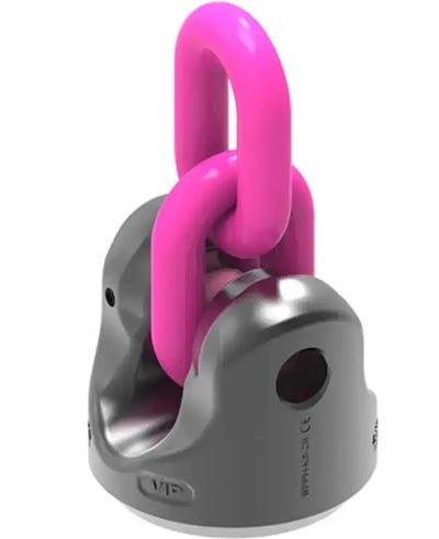 WPPH-VIP PowerPoint ® Direct VIP Chain Connection